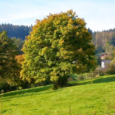 Bra De Pierre 別荘 Lierneux